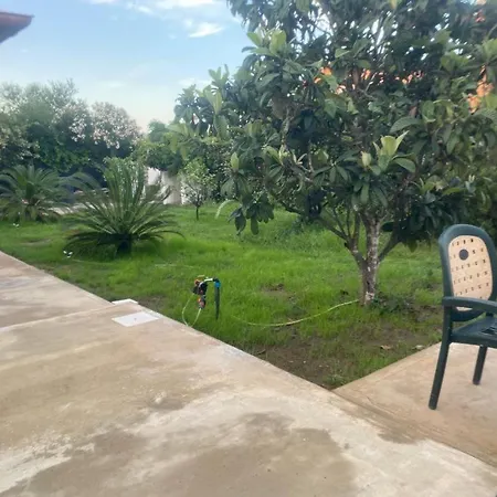 Il Nespolo Casa Vacanze A Due Passi Dal Mare * אולביה