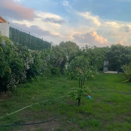 Il Nespolo Casa Vacanze A Due Passi Dal Mare Olbia